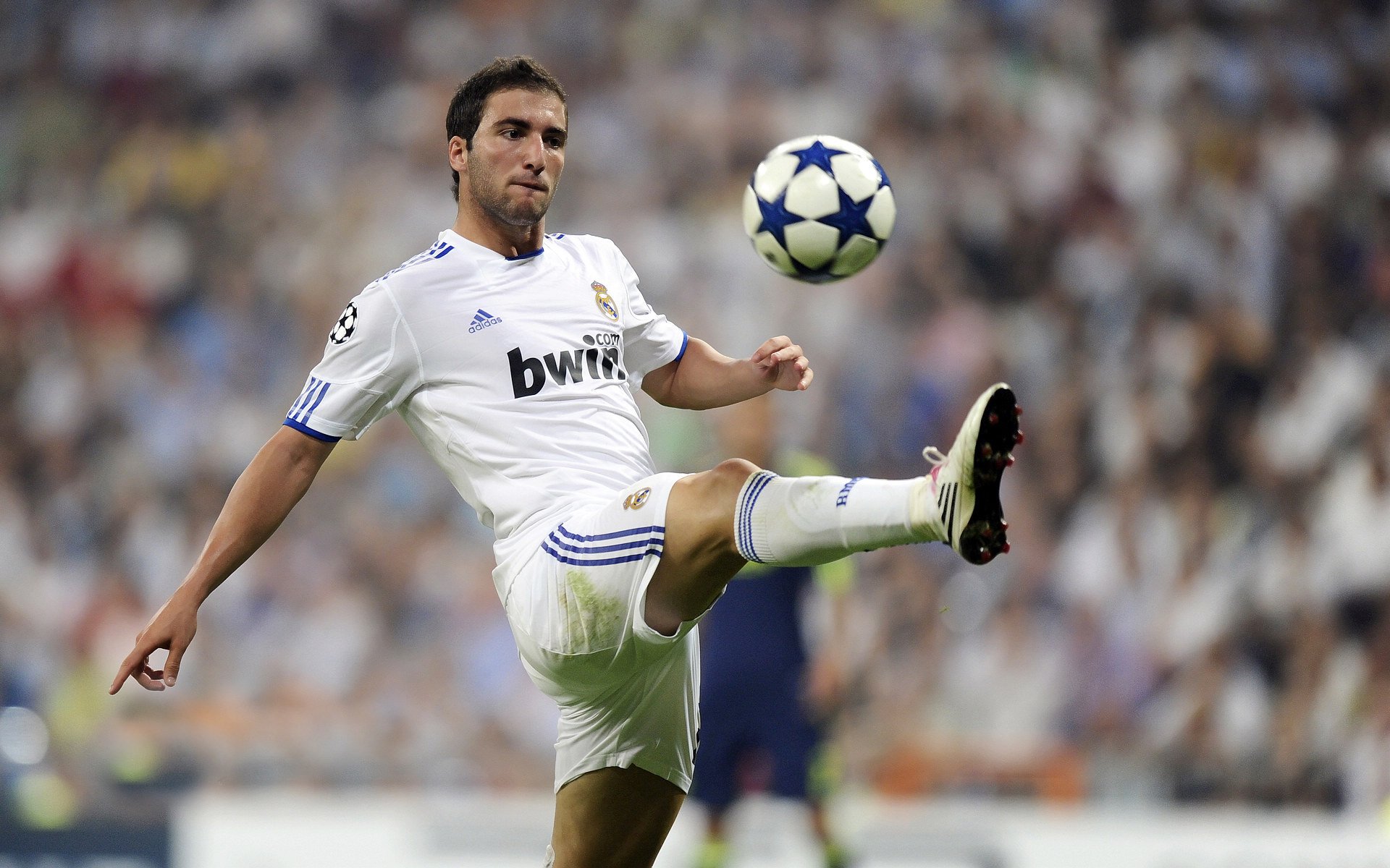 面向未来的青少年裁判员“能力+素养”训练体系全线铺开，行业公平持续得到保障